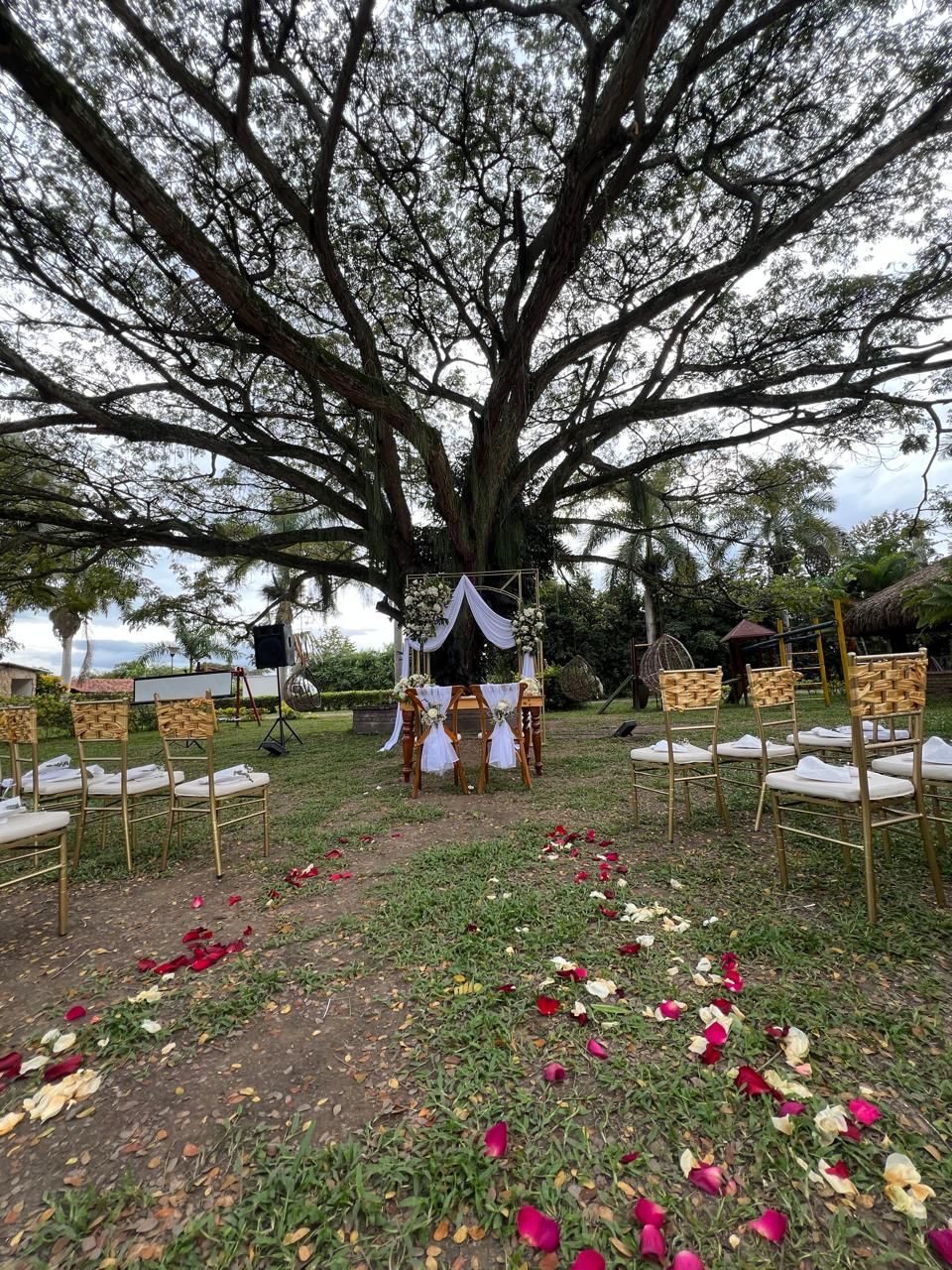 Boda3
