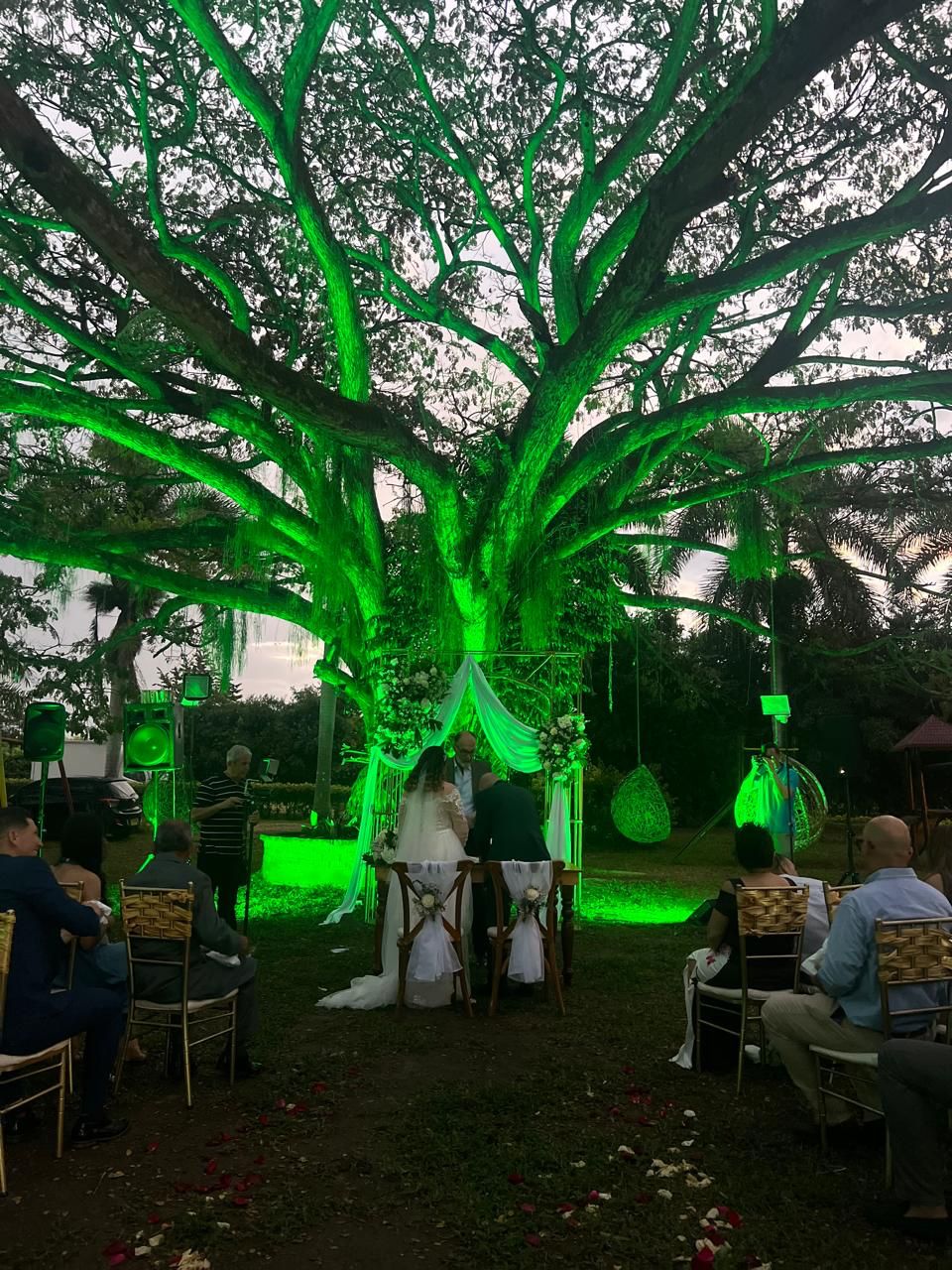 Boda4