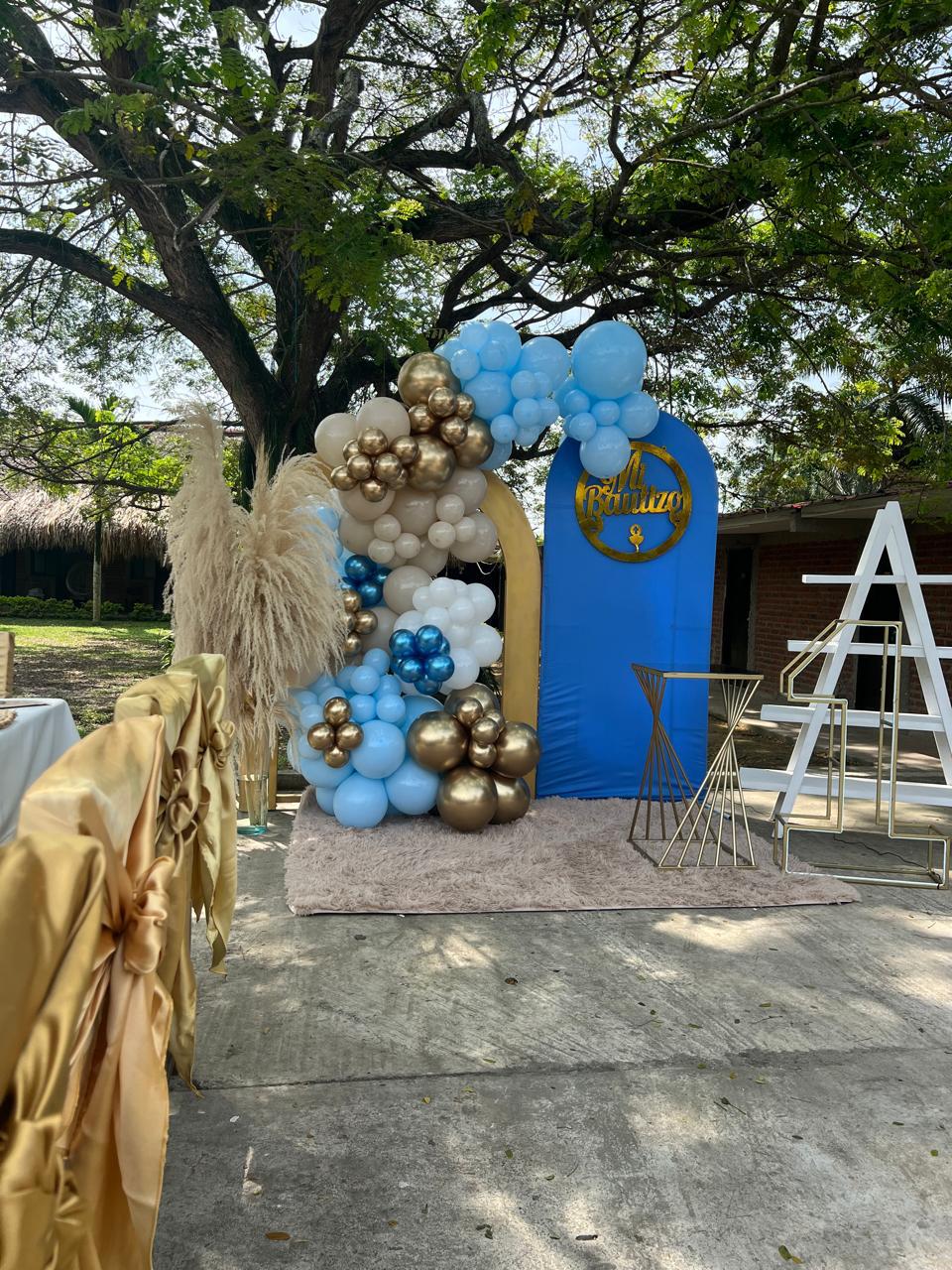 bau1